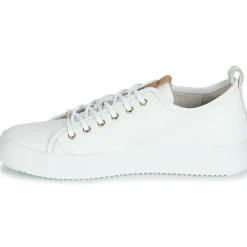 Blackstone - PL97 Blanc Clearance