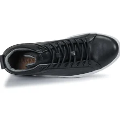 Discount Blackstone - SG29 Noir