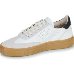 Blackstone - SLATE HARPER Best