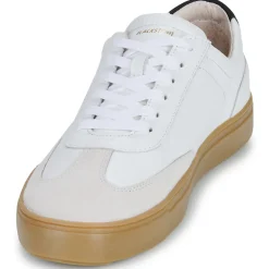 Blackstone - SLATE HARPER