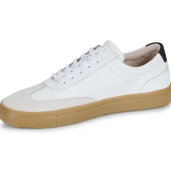 Blackstone - SLATE HARPER