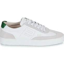 Blackstone - SLATE HARPER PERF