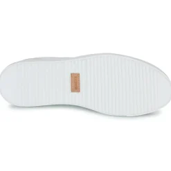 Blackstone - SLATE HARPER PERF