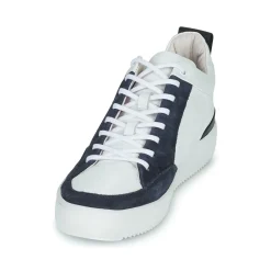 New Blackstone - XG90