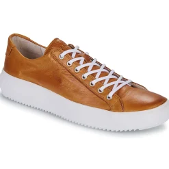 New Blackstone - ZG18 Camel