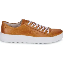 New Blackstone - ZG18 Camel