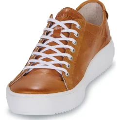 New Blackstone - ZG18 Camel