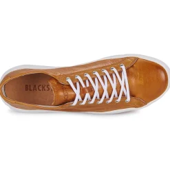 New Blackstone - ZG18 Camel