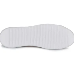 New Blackstone - ZG18 Camel