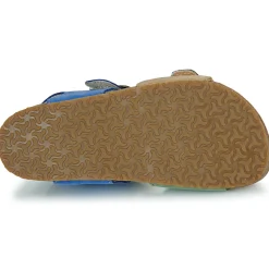 New Bopy - EDOUARVEL