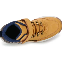 Bopy - IGOVILLO Cognac