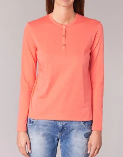 BOTD - EBISCOL Orange Online