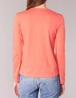 BOTD - EBISCOL Orange Online