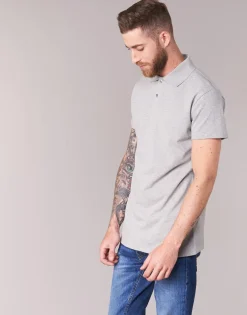 Online BOTD - EPOLARO Gris