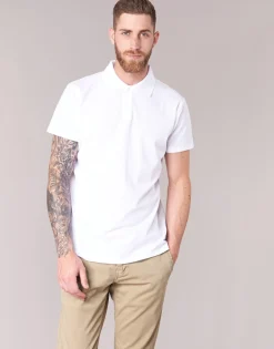 BOTD - EPOLARO Blanc New