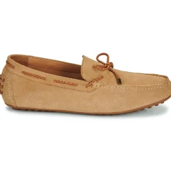 Brett & Sons - 4389-VEL-BEGE-