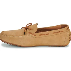 Brett & Sons - 4389-VEL-BEGE-