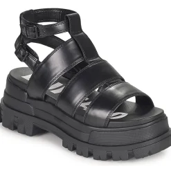 Buffalo - ASPHA GLD Noir Hot