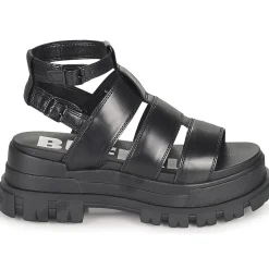 Buffalo - ASPHA GLD Noir Hot