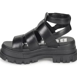 Buffalo - ASPHA GLD Noir Hot