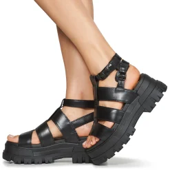 Buffalo - ASPHA GLD Noir Hot