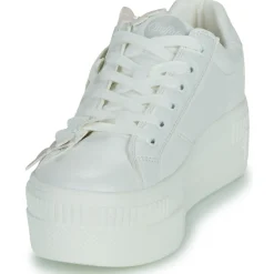 Buffalo - PAIRED BUTTERFLY