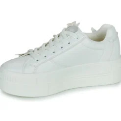 Buffalo - PAIRED BUTTERFLY