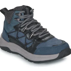 Bullboxer - ACH500F6S