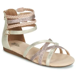 Best Bullboxer - AED009