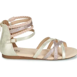 Best Bullboxer - AED009