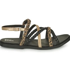 Clearance Bullboxer - ALM017F1S-BKCA