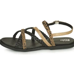 Clearance Bullboxer - ALM017F1S-BKCA