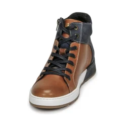 Bullboxer - AOF506COGN