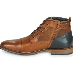 Bullboxer - BENN Marron Sale