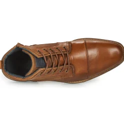 Bullboxer - BENN Marron Sale