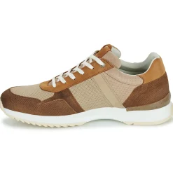 Sale Bullboxer - DEAN CUP LOW M Marron