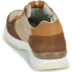 Sale Bullboxer - DEAN CUP LOW M Marron