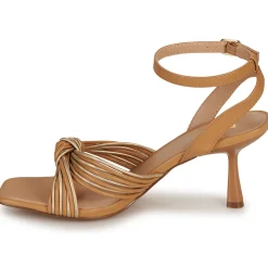 Bullboxer - 156002F2S Clearance