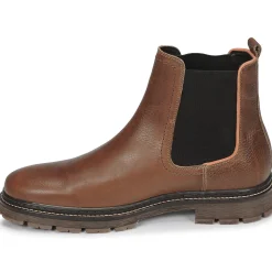 Bullboxer - SOHIL CHELSEA