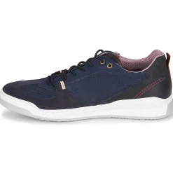 New Bullboxer - TESSA Bleu