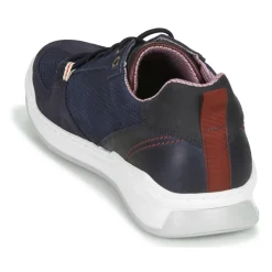 New Bullboxer - TESSA Bleu