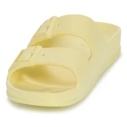 Cacatoès - BELO HORIZONTE