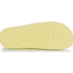 Cacatoès - BELO HORIZONTE