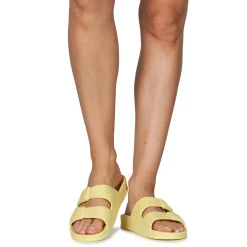 Cacatoès - BELO HORIZONTE