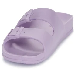 Cacatoès - BELO HORIZONTE