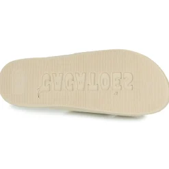 Cacatoès - BELO HORIZONTE