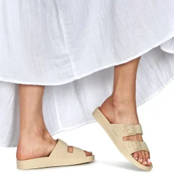 Cacatoès - BELO HORIZONTE