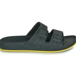 Cacatoès - BRASILIA