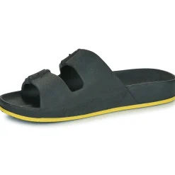 Cacatoès - BRASILIA