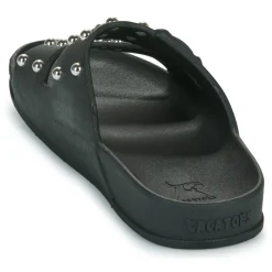 Cacatoès - FLORIANOPOLIS Noir New